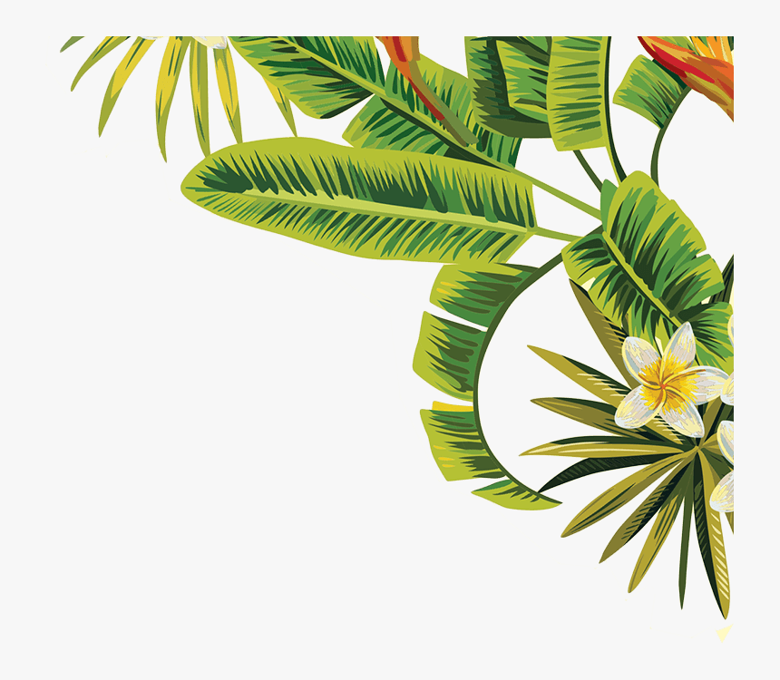 Detail Palm Leaf Png Nomer 50