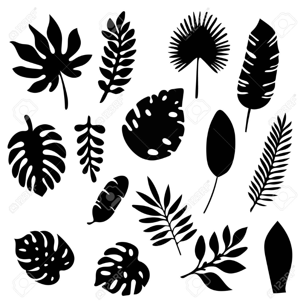 Detail Palm Leaf Silhouette Png Nomer 24