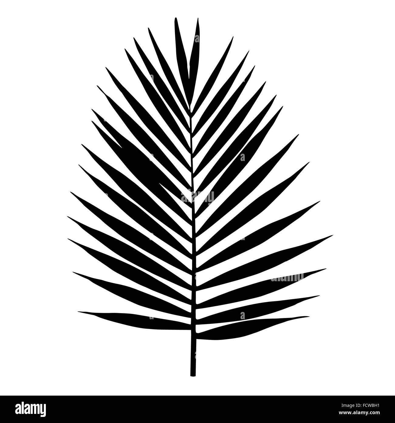 Detail Palm Leaf Silhouette Png Nomer 25