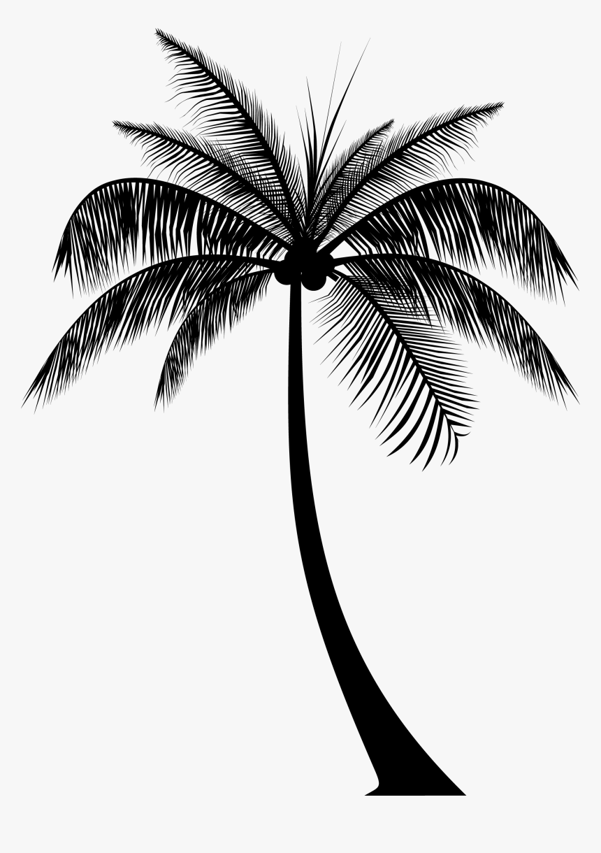 Detail Palm Leaf Silhouette Png Nomer 33