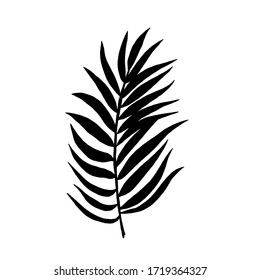 Detail Palm Leaf Silhouette Png Nomer 5