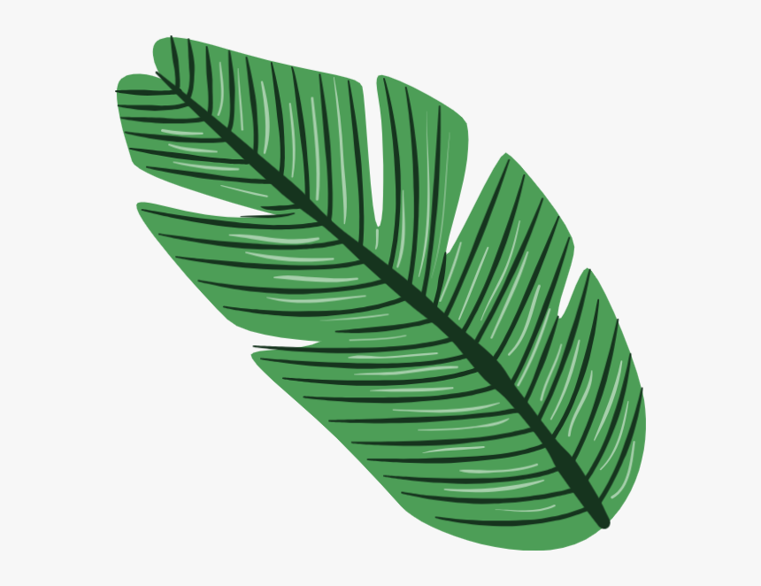 Detail Palm Leaves Png Nomer 20