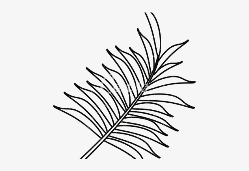 Detail Palm Leaves Png Nomer 44