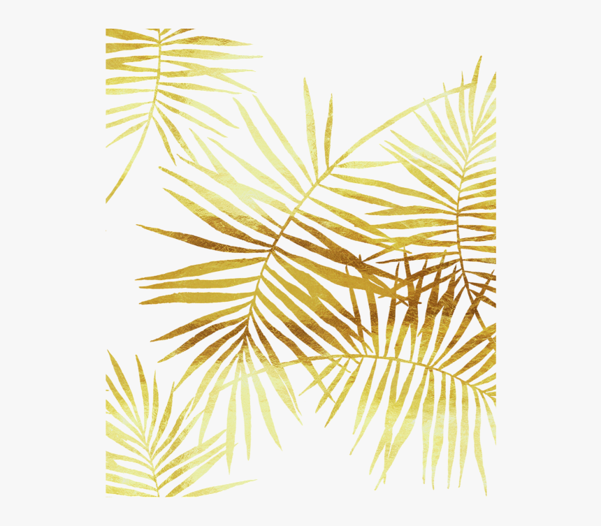 Detail Palm Leaves Png Nomer 48