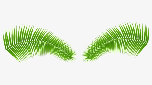 Detail Palm Leaves Transparent Background Nomer 25