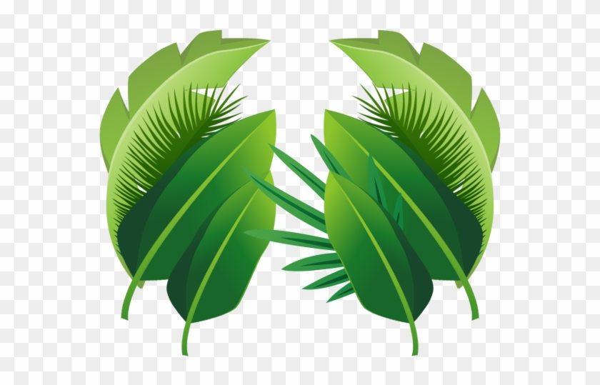 Detail Palm Leaves Transparent Background Nomer 27