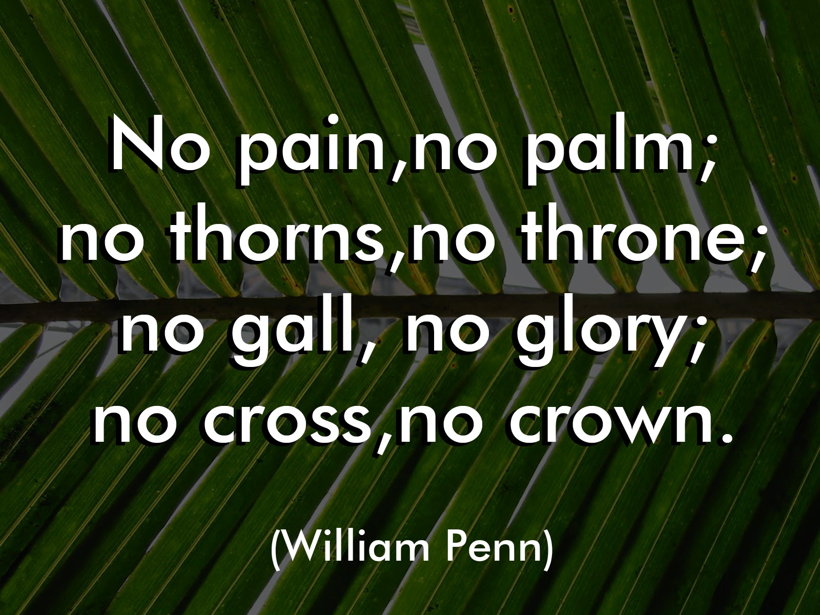 Detail Palm Sunday Quotes Nomer 26