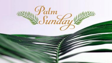 Detail Palm Sunday Quotes Nomer 27
