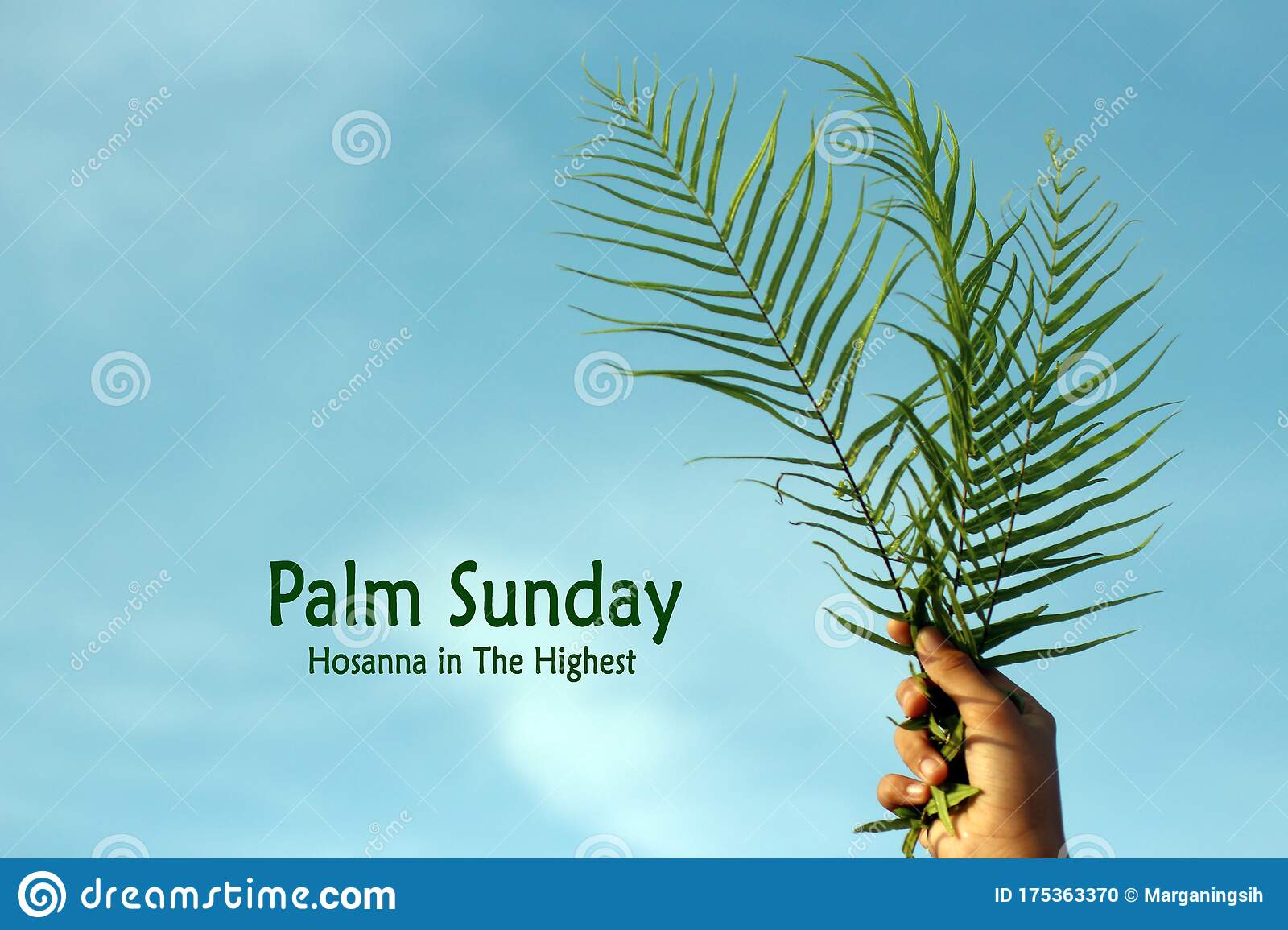 Detail Palm Sunday Quotes Nomer 29