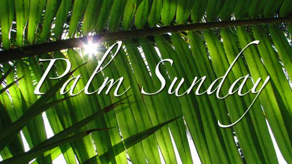 Detail Palm Sunday Quotes Nomer 34