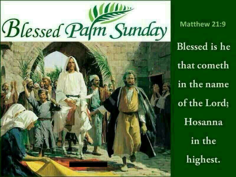 Detail Palm Sunday Quotes Nomer 47