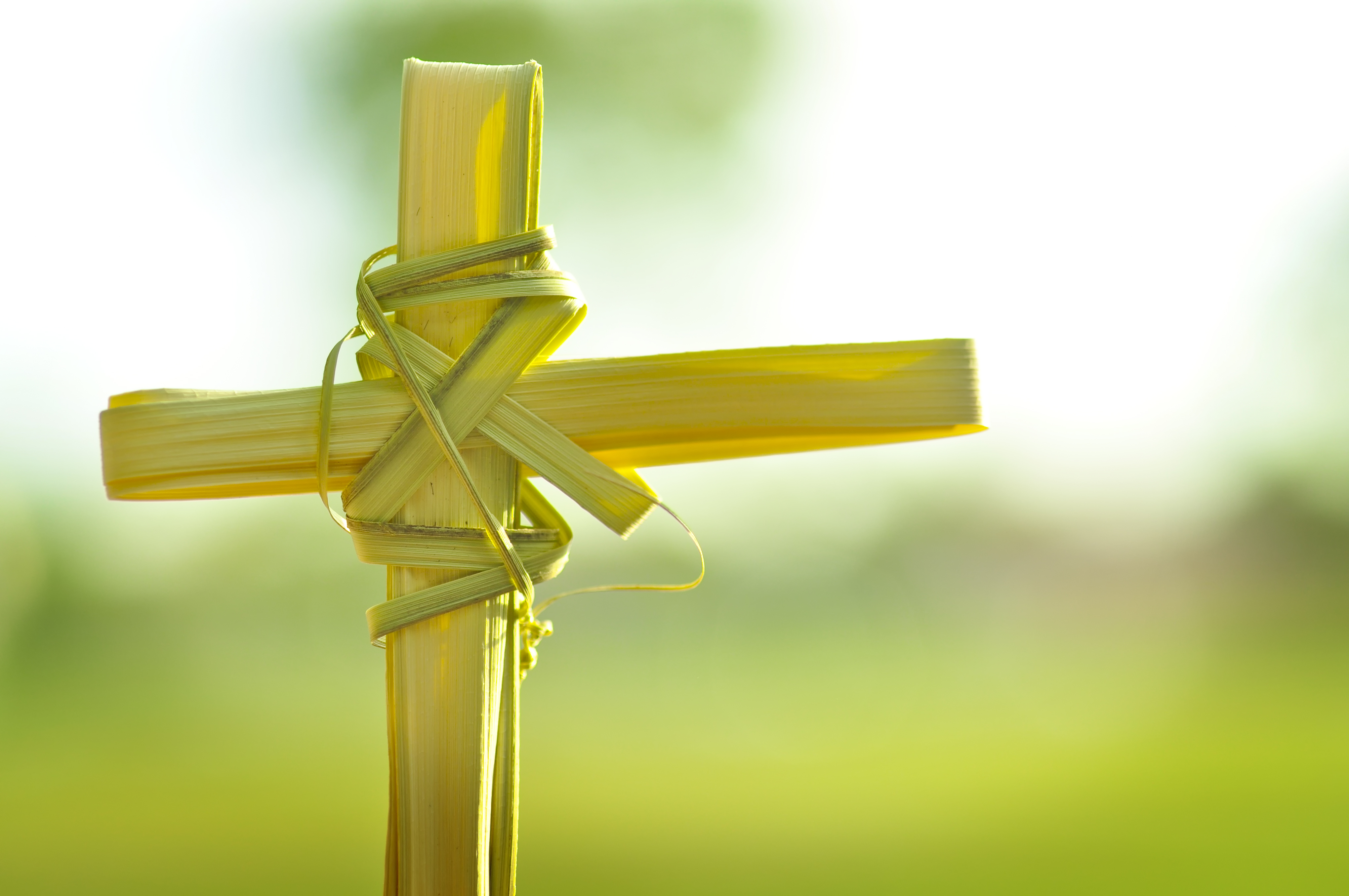 Detail Palm Sunday Quotes Nomer 51