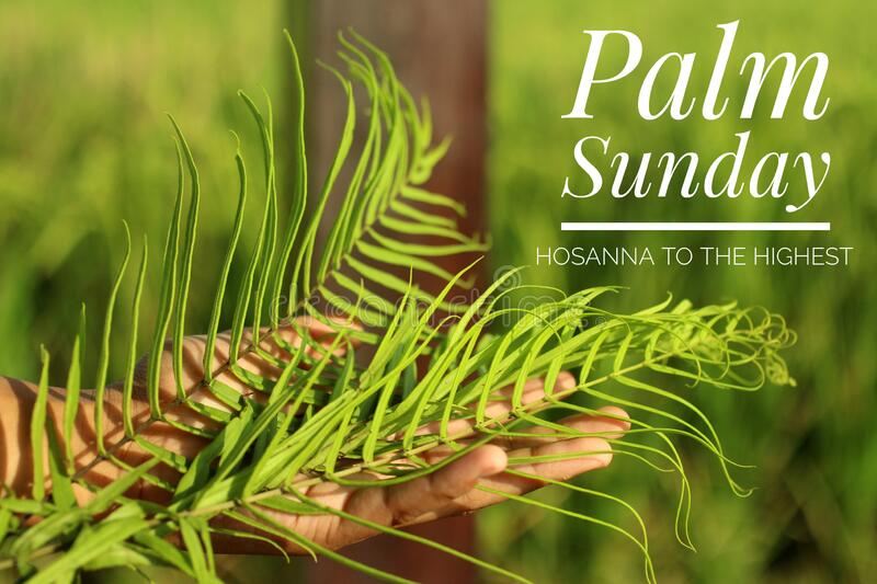 Detail Palm Sunday Quotes Nomer 53