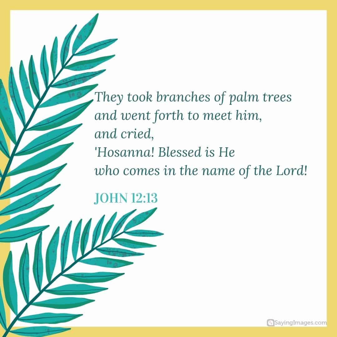 Detail Palm Sunday Quotes Nomer 8