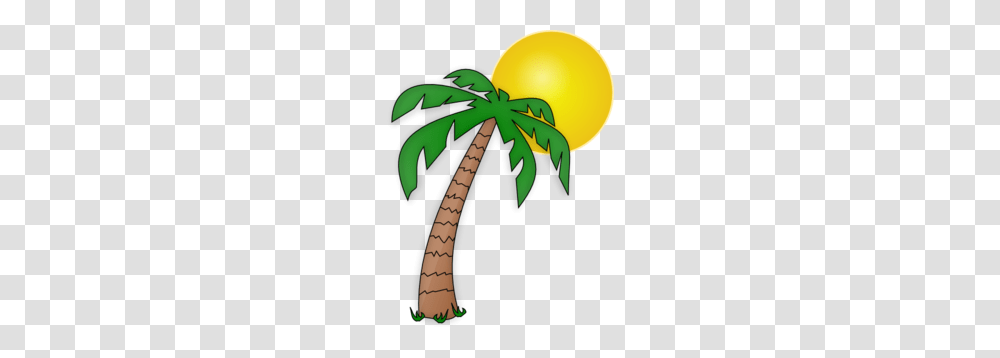 Detail Palm Tree And Sun Clipart Nomer 28