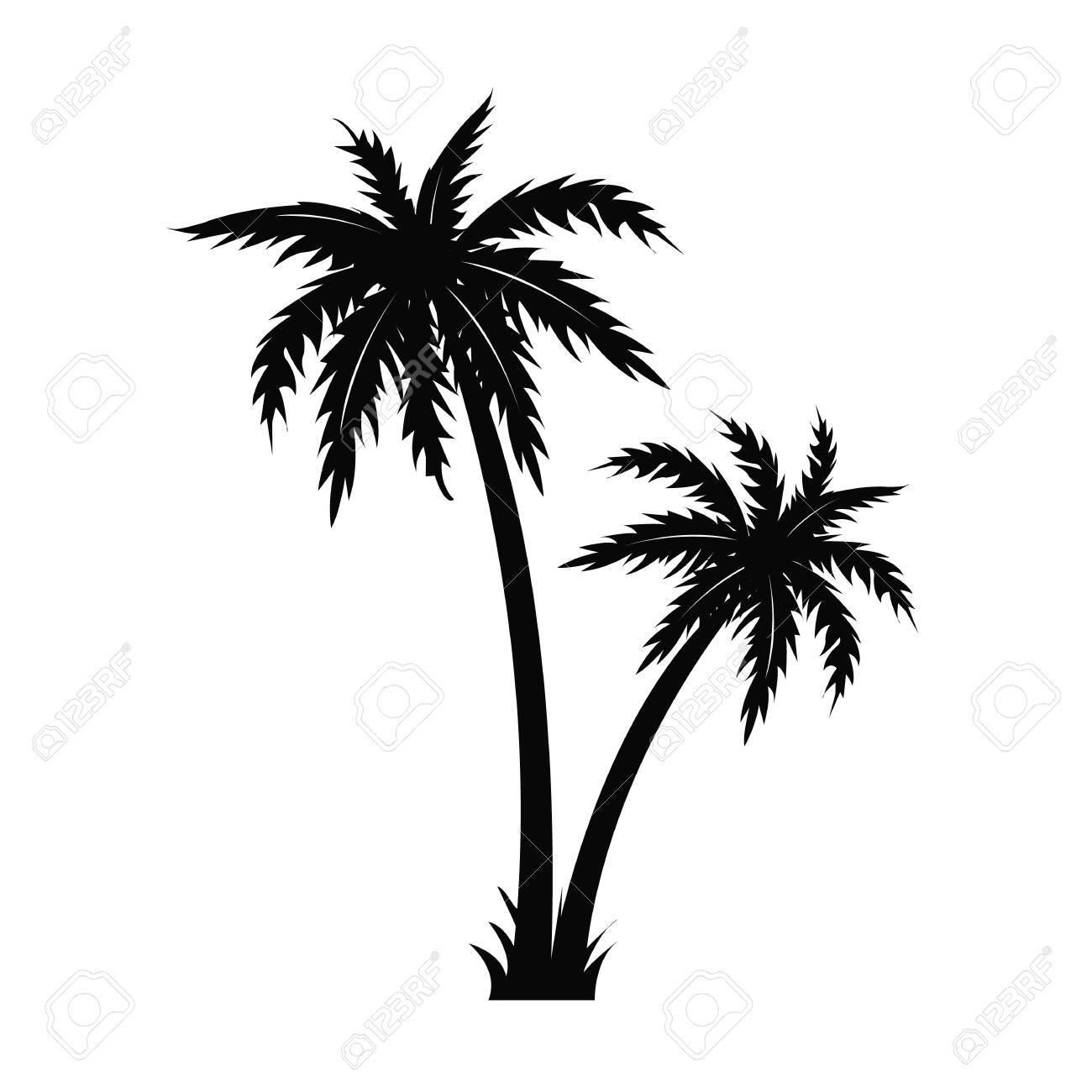 Detail Palm Tree Black And White Clipart Nomer 17