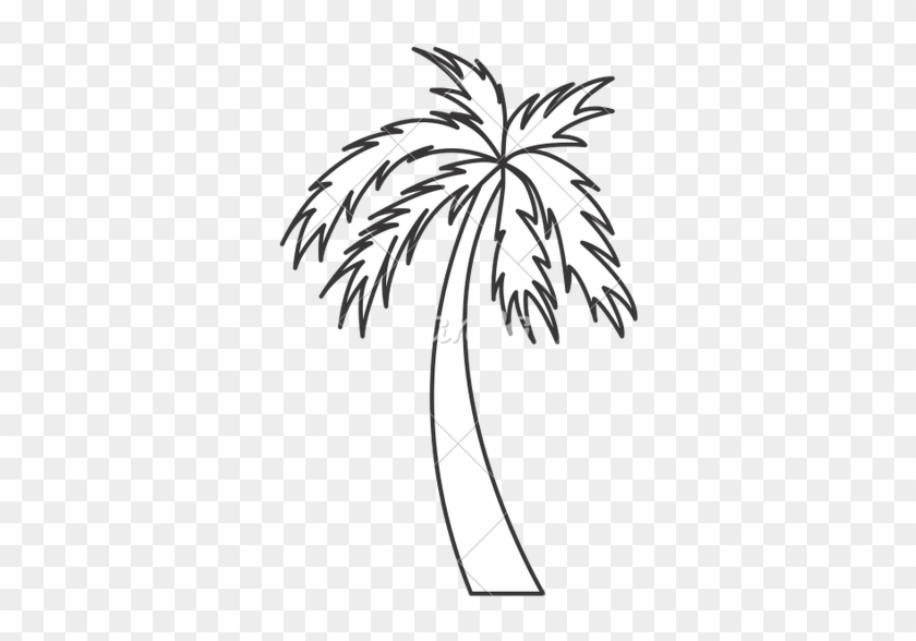 Detail Palm Tree Black And White Clipart Nomer 25