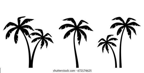 Detail Palm Tree Black And White Clipart Nomer 43