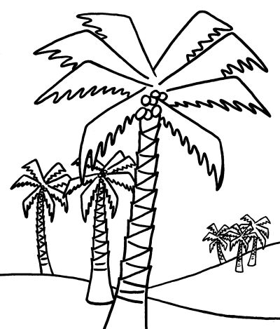 Detail Palm Tree Black And White Clipart Nomer 45