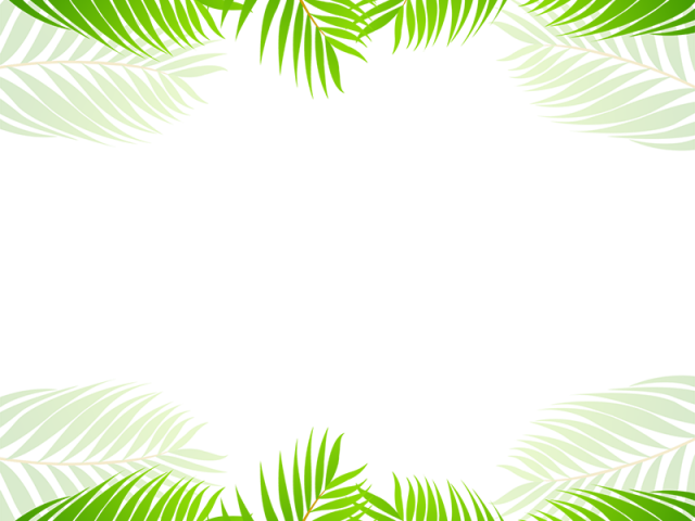 Detail Palm Tree Border Clipart Nomer 14