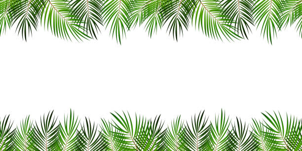 Detail Palm Tree Border Clipart Nomer 20