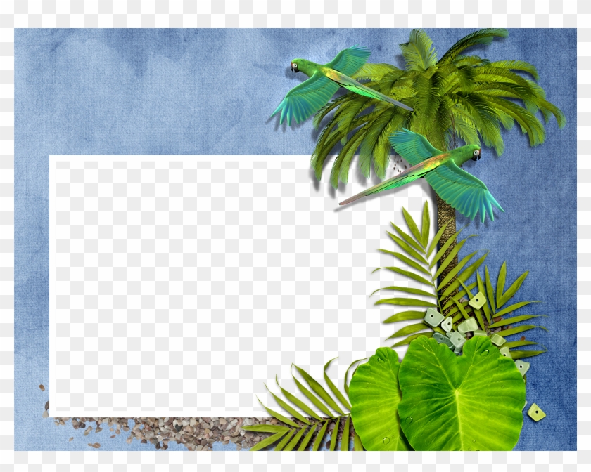 Detail Palm Tree Border Clipart Nomer 27
