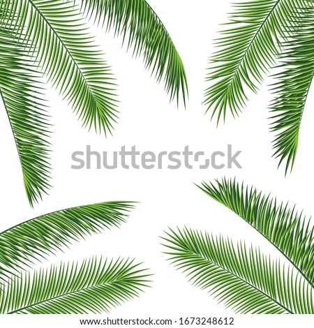 Detail Palm Tree Border Clipart Nomer 29