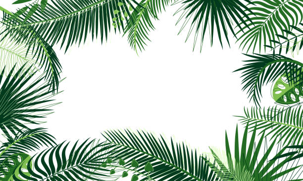 Detail Palm Tree Border Clipart Nomer 5