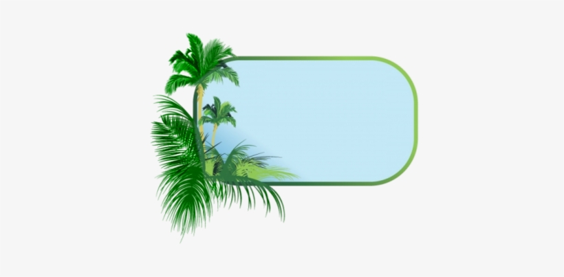 Detail Palm Tree Border Png Nomer 14