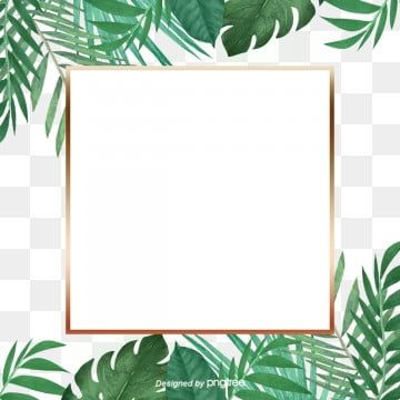 Detail Palm Tree Border Png Nomer 19