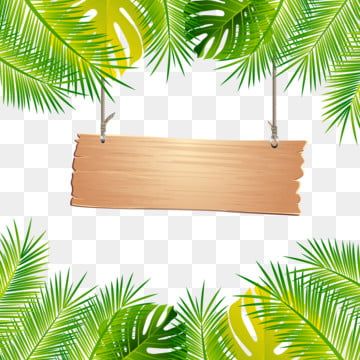 Detail Palm Tree Border Png Nomer 30