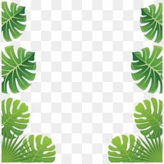 Detail Palm Tree Border Png Nomer 43