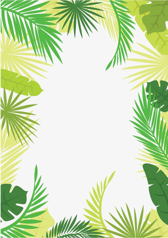 Detail Palm Tree Border Png Nomer 50