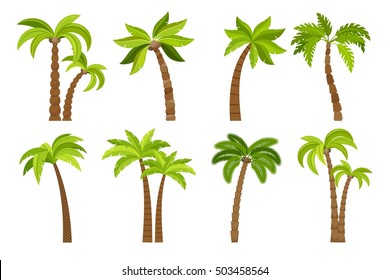 Detail Palm Tree Brush Photoshop Nomer 55