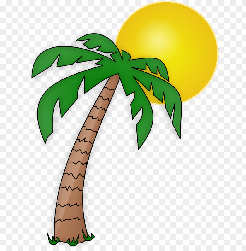 Detail Palm Tree Cartoon Png Nomer 10