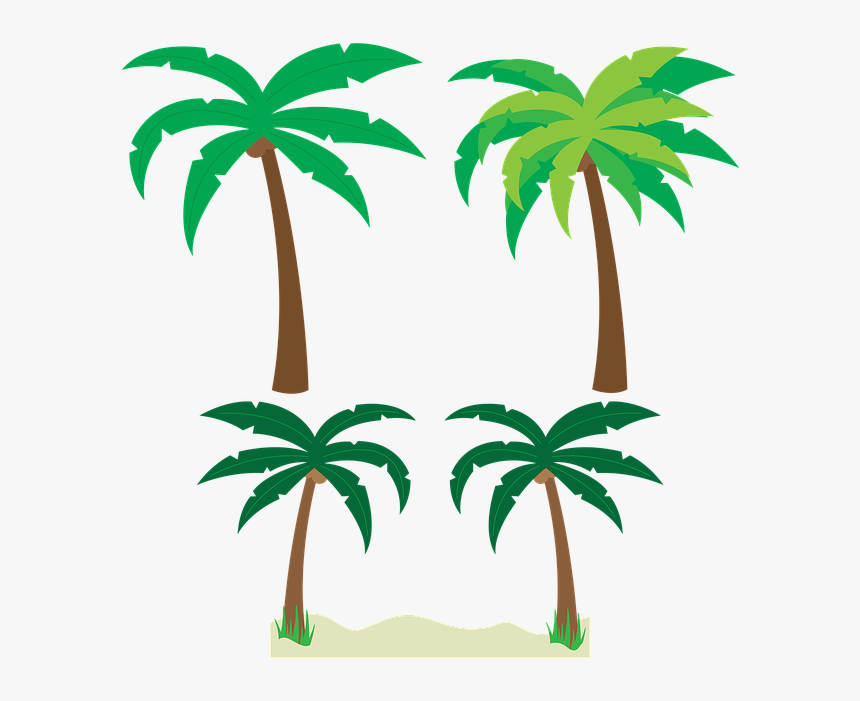 Detail Palm Tree Cartoon Png Nomer 11