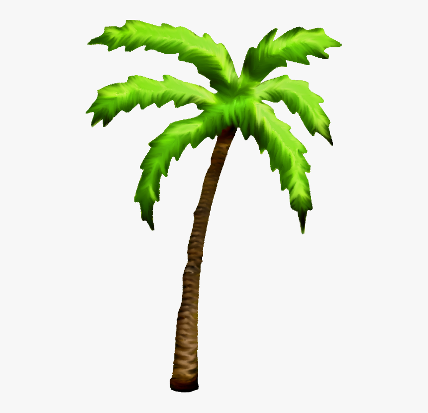 Detail Palm Tree Cartoon Png Nomer 17