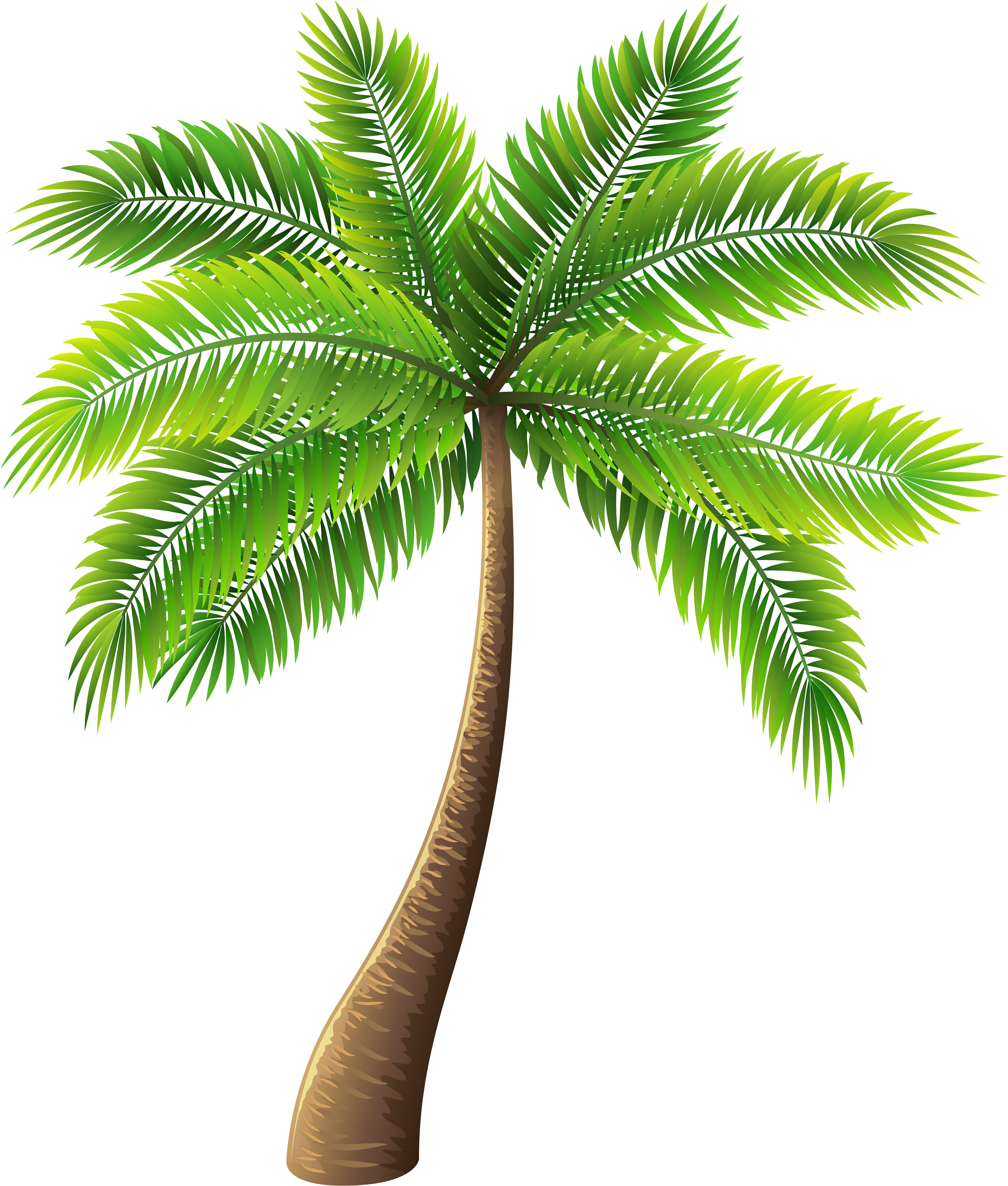 Detail Palm Tree Cartoon Png Nomer 18