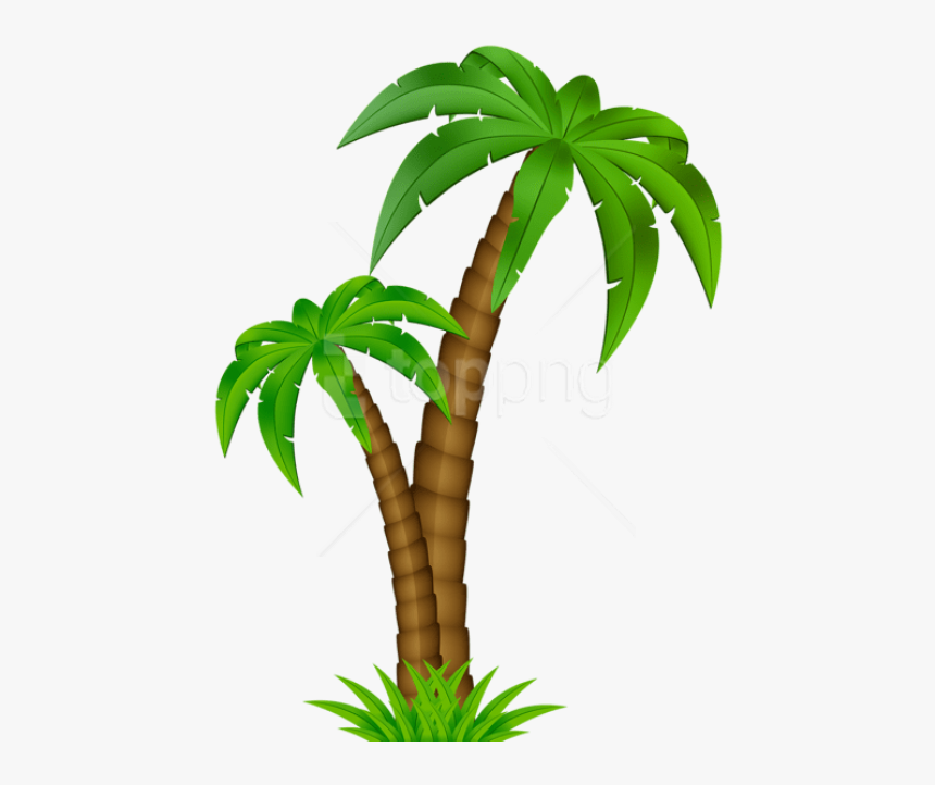 Detail Palm Tree Cartoon Png Nomer 3