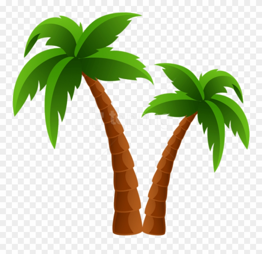 Detail Palm Tree Cartoon Png Nomer 4