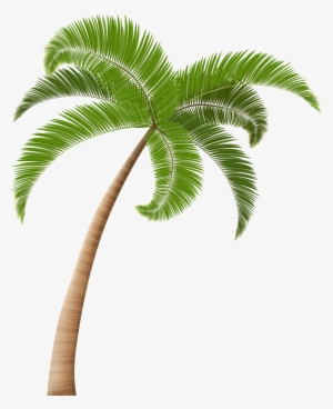 Detail Palm Tree Cartoon Png Nomer 36