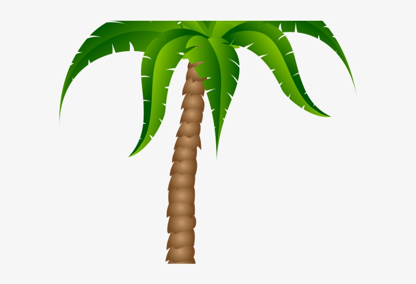 Detail Palm Tree Cartoon Png Nomer 53