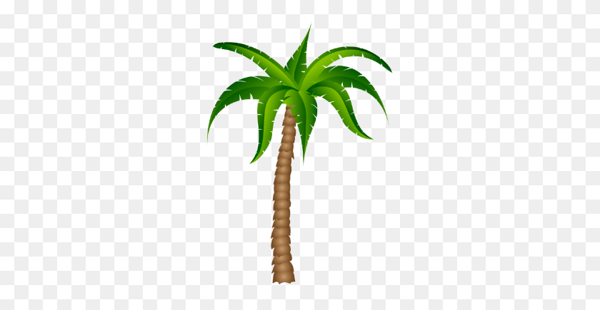 Detail Palm Tree Cartoon Png Nomer 55