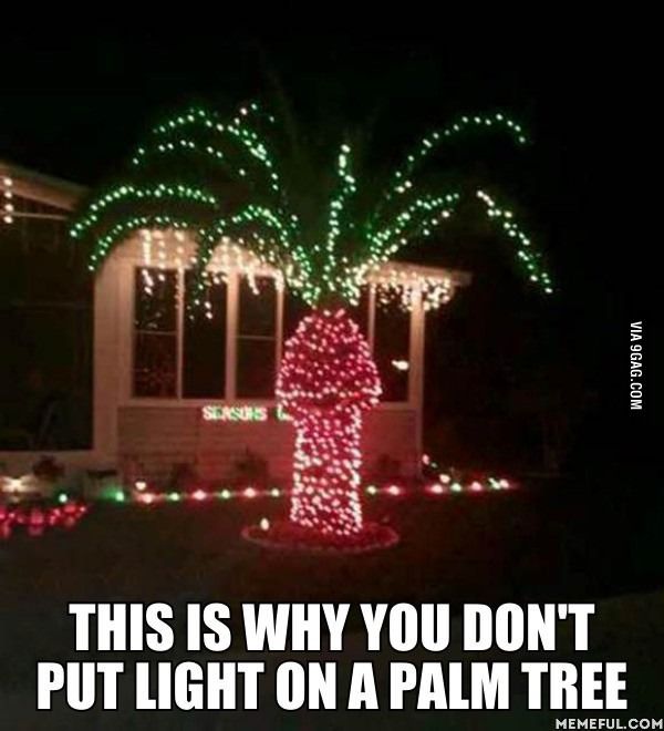 Palm Tree Christmas Lights Meme - KibrisPDR