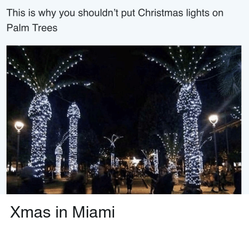 Detail Palm Tree Christmas Lights Meme Nomer 12