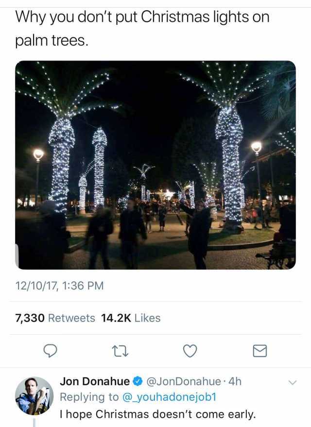 Download Palm Tree Christmas Lights Meme Nomer 14