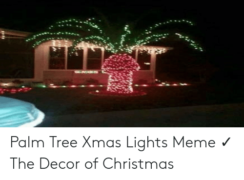 Detail Palm Tree Christmas Lights Meme Nomer 16