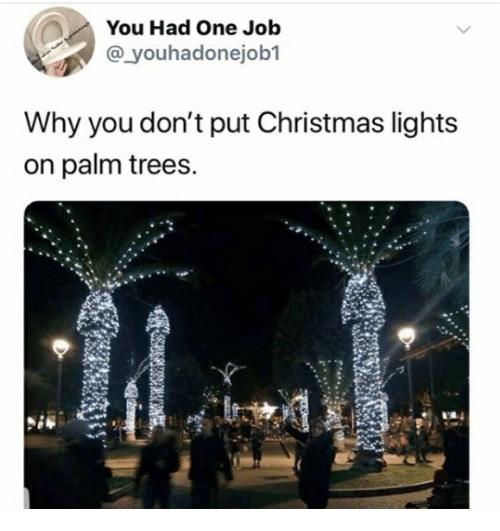 Detail Palm Tree Christmas Lights Meme Nomer 22