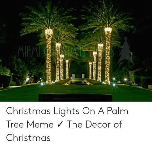 Detail Palm Tree Christmas Lights Meme Nomer 23