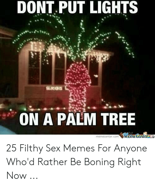 Detail Palm Tree Christmas Lights Meme Nomer 29